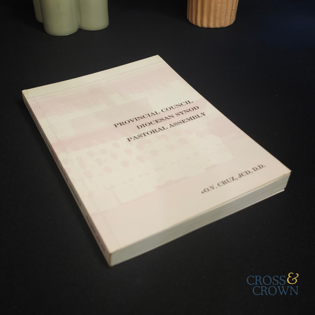 Provincial Council, Diocesan Synod, Pastoral Assembly by Archbishop Oscar Cruz [Paperback]